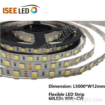 60Leds / m SMD5050 LED Strip Fleksibel Lampu